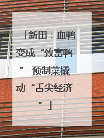 新田：血鸭变成“致富鸭” 预制菜撬动“舌尖经济”